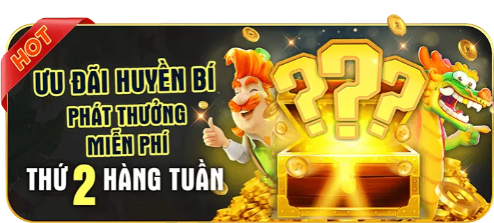 Hướng dẫn cá cược chi tiết