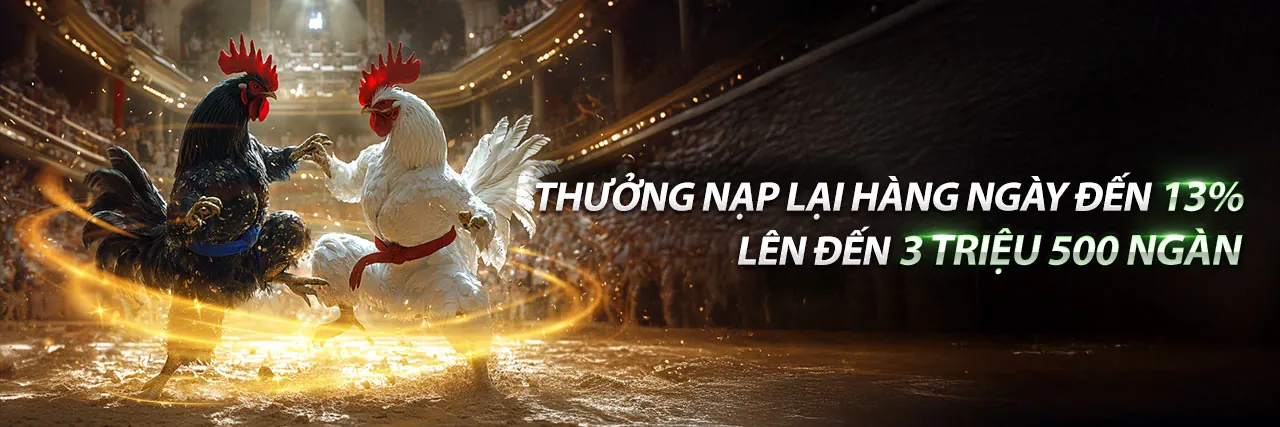 Đá Gà Trực Tiếp 99oke - Sân đấu gà chuyên nghiệp